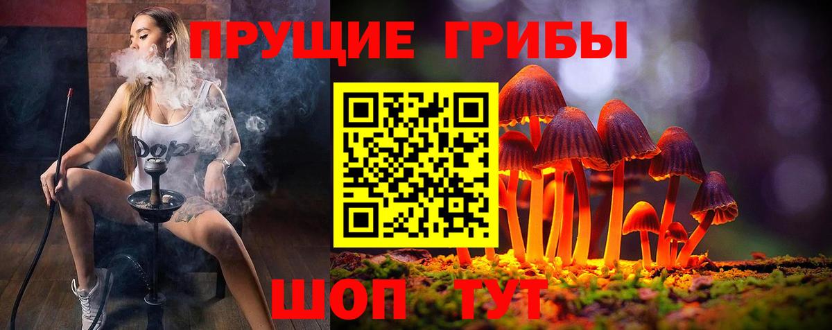 Псилоцибиновые грибы Psilocybe Конаково